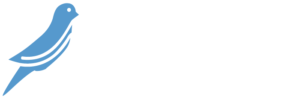 El-Canarino-Tu-tienda