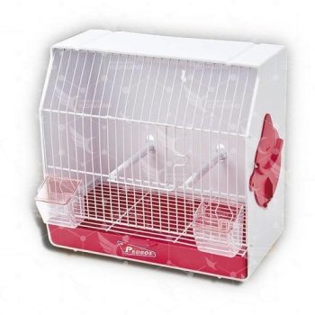 Jaula Concurso c.p Blanca - Pedrós