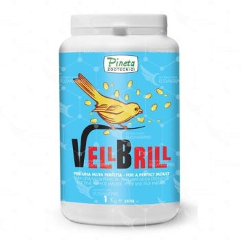 Vell Brill 1kg (Muda - Plumaje sin dore)